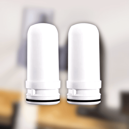 FreshDwell™ Replacement Water Filter